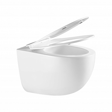 Подвесной унитаз безободковый Terminus Енисей Монолит 560х390 белый Дзержинск - фото 7 Подвесной унитаз безободковый Terminus Енисей Монолит 560х390 белый Дзержинск - фото 7