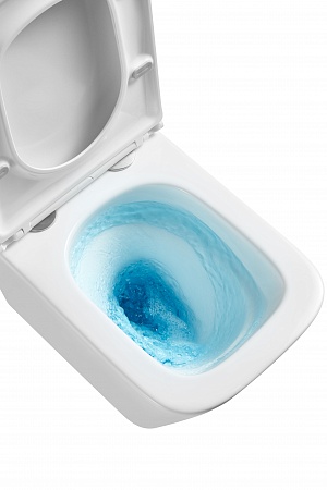 Подвесной унитаз безободковый Terminus Ватикан Монолит 490х340 белый Дзержинск - фото 8 Подвесной унитаз безободковый Terminus Ватикан Монолит 490х340 белый Дзержинск - фото 8