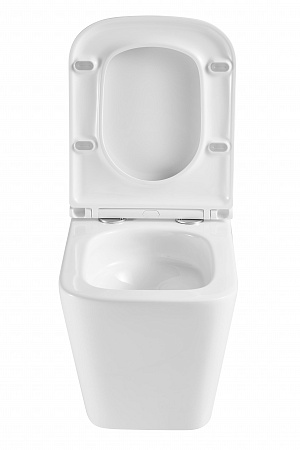 Подвесной унитаз безободковый Terminus Ватикан Монолит 490х340 белый Дзержинск - фото 7 Подвесной унитаз безободковый Terminus Ватикан Монолит 490х340 белый Дзержинск - фото 7