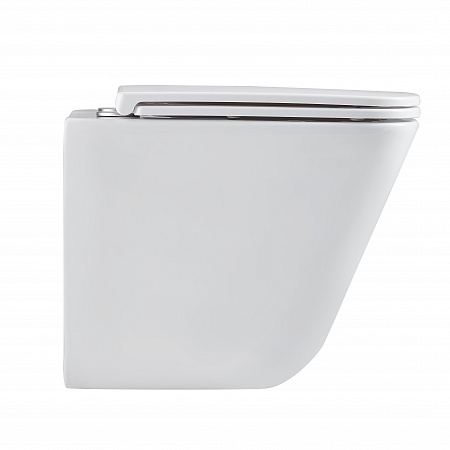 Подвесной унитаз безободковый Terminus Ватикан Монолит 490х340 белый Дзержинск - фото 4 Подвесной унитаз безободковый Terminus Ватикан Монолит 490х340 белый Дзержинск - фото 4