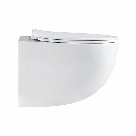 Подвесной унитаз безободковый Terminus Енисей Монолит 560х390 белый Дзержинск - фото 4 Подвесной унитаз безободковый Terminus Енисей Монолит 560х390 белый Дзержинск - фото 4