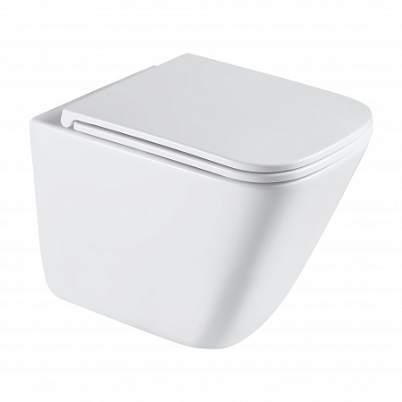 Подвесной унитаз безободковый Terminus Ватикан Монолит 490х340 белый Дзержинск - фото 2 Подвесной унитаз безободковый Terminus Ватикан Монолит 490х340 белый Дзержинск - фото 2