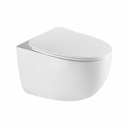 Подвесной унитаз безободковый Terminus Енисей Монолит 560х390 белый Дзержинск - фото 2 Подвесной унитаз безободковый Terminus Енисей Монолит 560х390 белый Дзержинск - фото 2