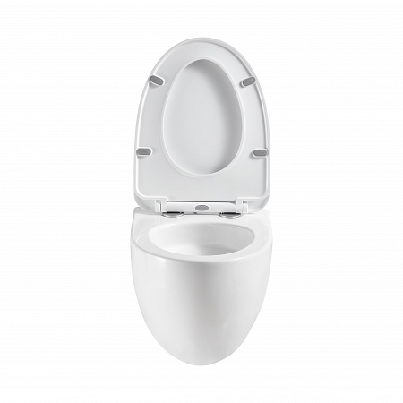 Подвесной унитаз безободковый Terminus Енисей Монолит 560х390 белый Дзержинск - фото 5 Подвесной унитаз безободковый Terminus Енисей Монолит 560х390 белый Дзержинск - фото 5