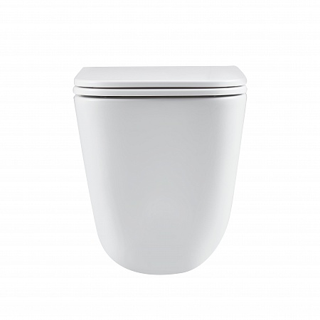 Подвесной унитаз безободковый Terminus Ватикан Монолит 490х340 белый Дзержинск - фото 6 Подвесной унитаз безободковый Terminus Ватикан Монолит 490х340 белый Дзержинск - фото 6