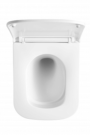 Подвесной унитаз безободковый Terminus Ватикан Монолит 490х340 белый Дзержинск - фото 3 Подвесной унитаз безободковый Terminus Ватикан Монолит 490х340 белый Дзержинск - фото 3